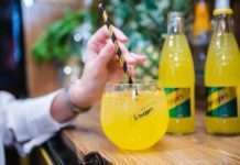 Novi Schweppes Pineapple Basil – uzbudljiva kombinacija osvježavajućih okusa