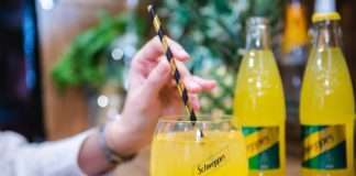 Novi Schweppes Pineapple Basil – uzbudljiva kombinacija osvježavajućih okusa