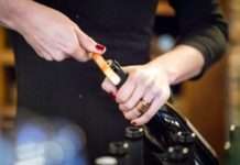 Pet zlata i tri srebra za Feravino u Svetom Ivanu Zelini