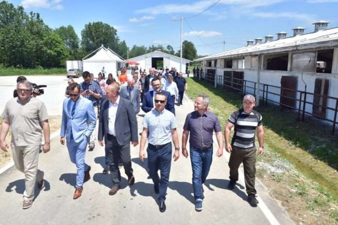 Obilazak farme junadi Šumbar