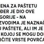 Paštete-3