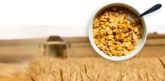 Poskupljenje pšenice i biljnih ulja katapultiralo cijene hrane u listopadu