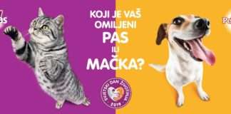 Tvrtka Mars pokrenula akciju ‘Pas ili mačka’ za pomoć napuštenim životinjama