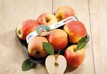 U SPAR-u i INTERSPAR-u jabuke isključivo domaćeg podrijetla