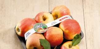 U SPAR-u i INTERSPAR-u jabuke isključivo domaćeg podrijetla