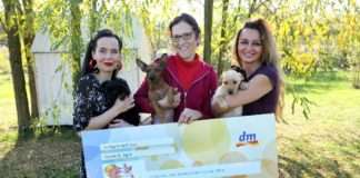 dm donirao 21.204 konzerve hrane za napuštene pse u Skloništu u Čakovcu