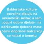 Jogurti-11