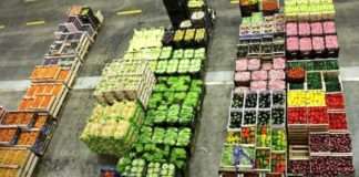 PIK Vinkovci pozvali male poljoprivredne proizvođače iz Hrvatske da se prijave za otkup proizvoda koji će se plasirati u Konzumu