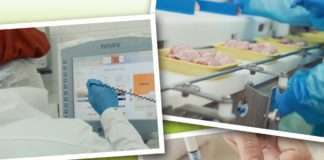 Perutnina Ptuj Pipo Čakovec osigurava neprekidnu opskrbu