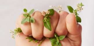 L’Oréal pokreće program vrijedan 150 mil. € za podršku ženama i zaštitu okoliša