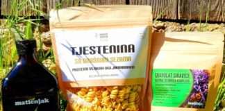 Matičnjak – zdrava oaza savršeno prirodnih namirnica