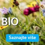 banner progressive 970×250