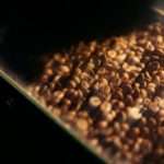 drogakolinska_barcaffe_proizvodnja_izola_WEB_073