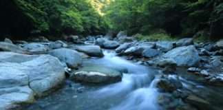 U fokusu: Rast količinske prodaje kategorije voda