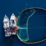 Pelagos Net Farma (5)