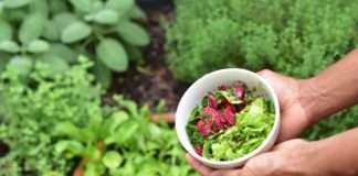 Epidemija poticaj za razvoj tržišta zdrave prehrane