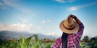 Tržište duhanske industrije: Najveći problem – ilegalni duhan iz RH i drugih zemalja