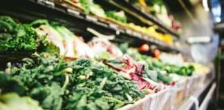 Izvoz poljoprivrednih i prehrambenih proizvoda rastao za 5 posto