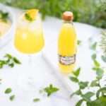 GLAVNA FOTOGRAFIJA ZA_¨LANAK