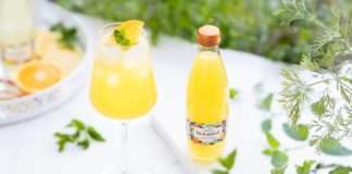 Kućni party: Napravite sami vrhunske koktele s Jamnicom Botanicom