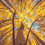 Financije-i-porezi-jesen