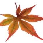 Financije-i-porezi-jesen-2