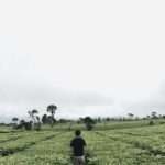 Gathering storm_tobbaco_JTI