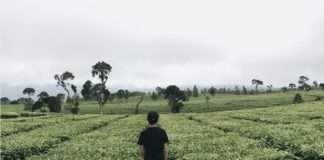 Izvješće JTI: Nakon pandemije slijedi oluja nezakonite trgovine duhanskim proizvodima