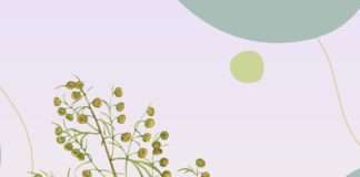 Pronašli smo slatki pelin o kojem ovih dana mnogi pričaju – macerat brenda Matičnjak