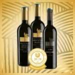 laguna vizual 10_01_02