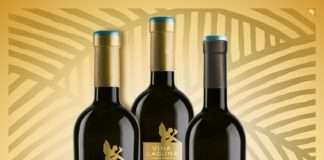 Vina Laguna osvojila tri zlata na prestižnom natjecanju u Italiji