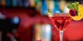 Jaka alkoholna pića: Najveći rast bilježe gin, gorki likeri i rakija