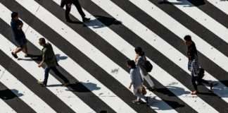 SPECIJAL – TOP BRENDOVI