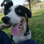 Udruga Farmica Nasice