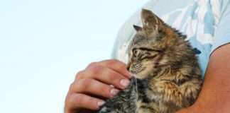 dm donirao više od 10,5 tona hrane udrugama za zaštitu životinja