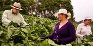 BAT među prve tri tvrtke u svijetu po pitanju održivosti