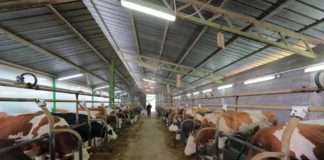 Fortenova grupa preuzela osječku mljekaru