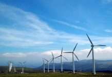 Heineken i Philips dogovorili opskrbu strujom iz Finske