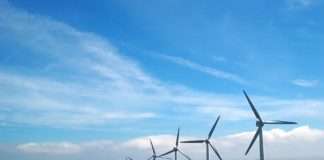 Heineken i Philips dogovorili opskrbu strujom iz Finske