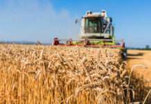 HPK protiv zamrzavanja cijena namirnica