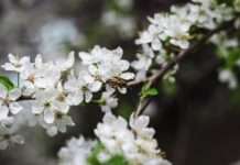 Specijal: PROLJETNO ČIŠĆENJE