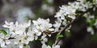 Specijal: PROLJETNO ČIŠĆENJE