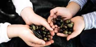 Pokrenut projekt ‘Slow Food na djelu: mladi i budućnost prehrambenog sustava u Hrvatskoj’