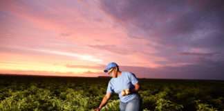 PepsiCo najavio širenje regenerativne poljoprivredne prakse na više od tri milijuna hektara do 2030.