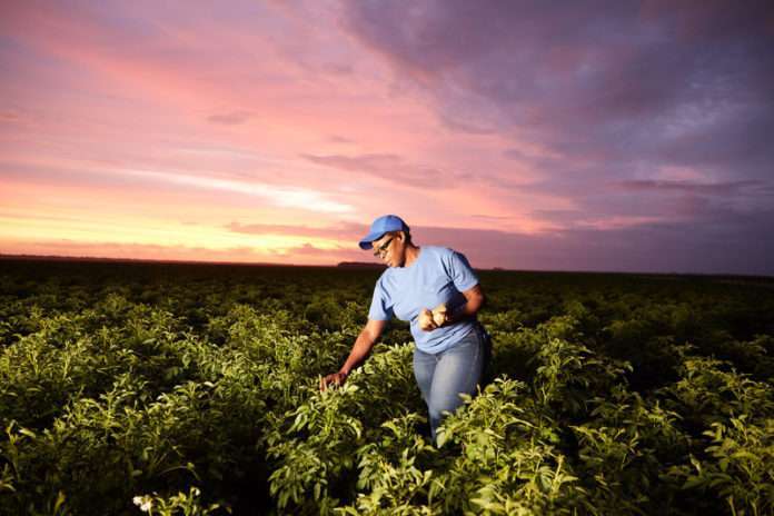 PepsiCo 2030 Agriculture Goal