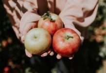 DZS: U 2020. pala proizvodnja jabuka, mandarina, marelica