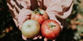 DZS: U 2020. pala proizvodnja jabuka, mandarina, marelica