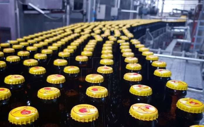 pivo