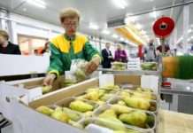 Priznata prva oznaka ‘Dokazana kvaliteta – Hrvatska’ za sektor voća