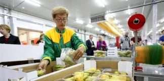 Priznata prva oznaka ‘Dokazana kvaliteta – Hrvatska’ za sektor voća